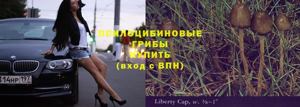 ECSTASY Абаза